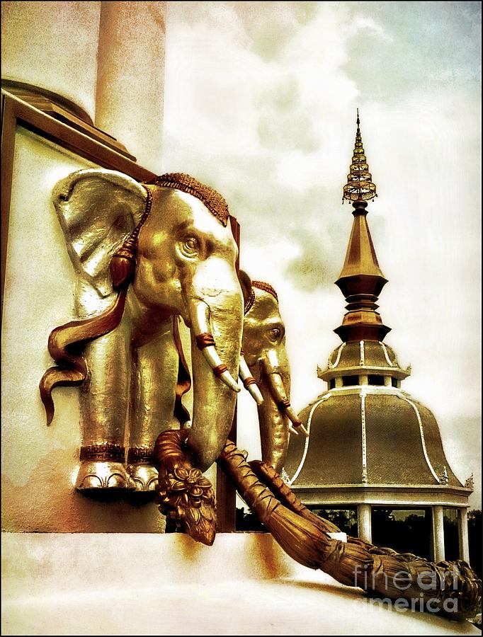 Elephants Of The Temple Photograph