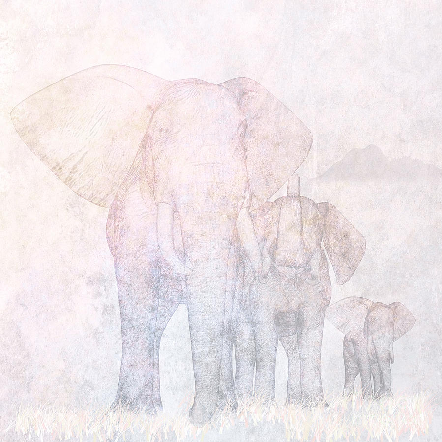 Nature Digital Art - Elephants by John Edwards