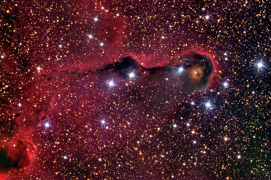 Space Photograph - Elephants Trunk Nebula (ic 1396a) by Russell Croman/science Photo Library