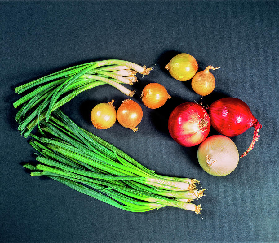 Onion Photograph - Elevated View Of Various Types Of Onions by Panoramic Images