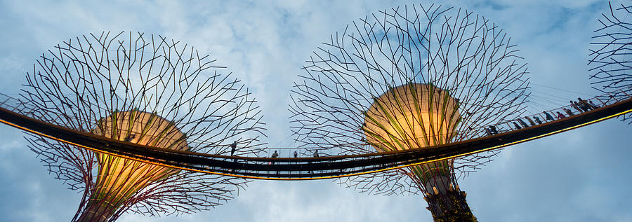 Architecture Photograph - Elevated Walkway Among Supertrees by Panoramic Images