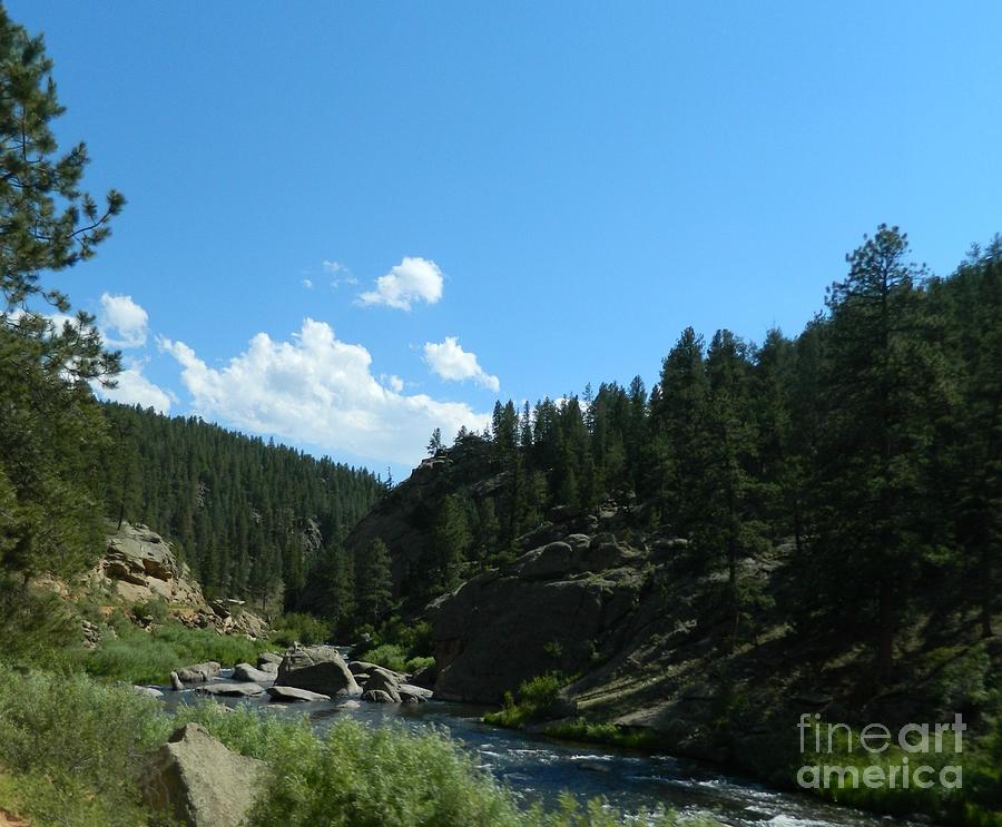 Eleven Mile Canyon Photograph by Michelle Frizzell-Thompson