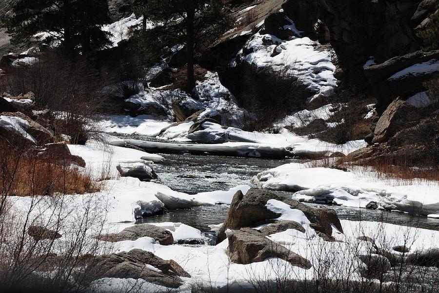 Eleven Mile Canyon - Snowy Stream Photograph by Marilyn Burton