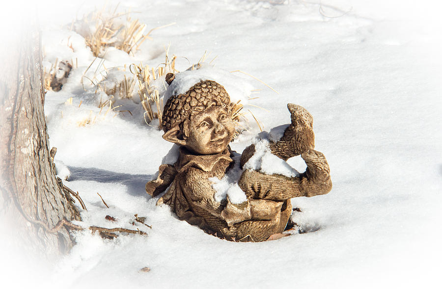Elf in the Snow Photograph by Douglas Barnett