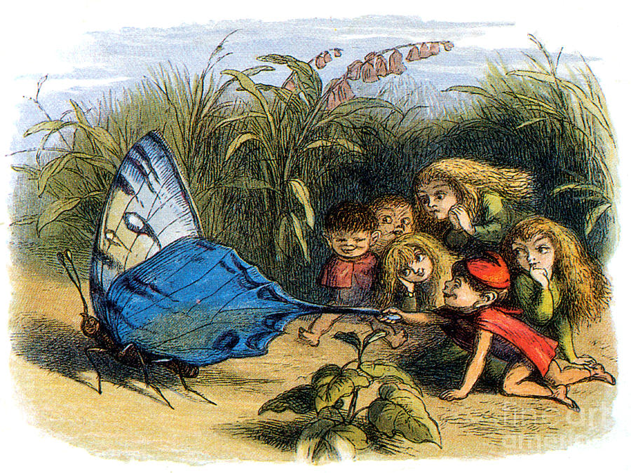Elf Teasing A Butterfly, Legendary Photograph by Photo Researchers