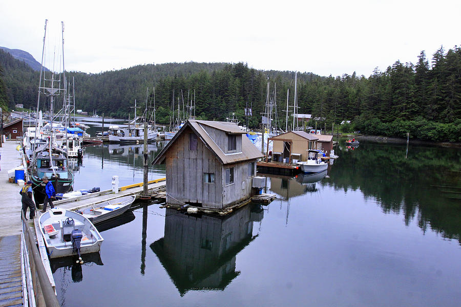 Elfin Cove Alaska Photograph