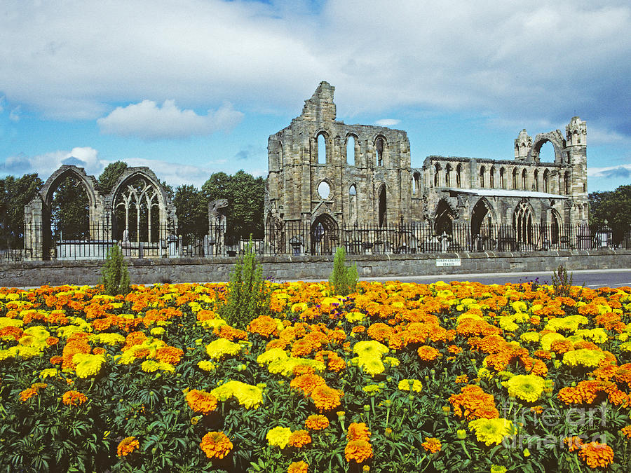 Elgin Cathedral - Scotland Photograph by Phil Banks