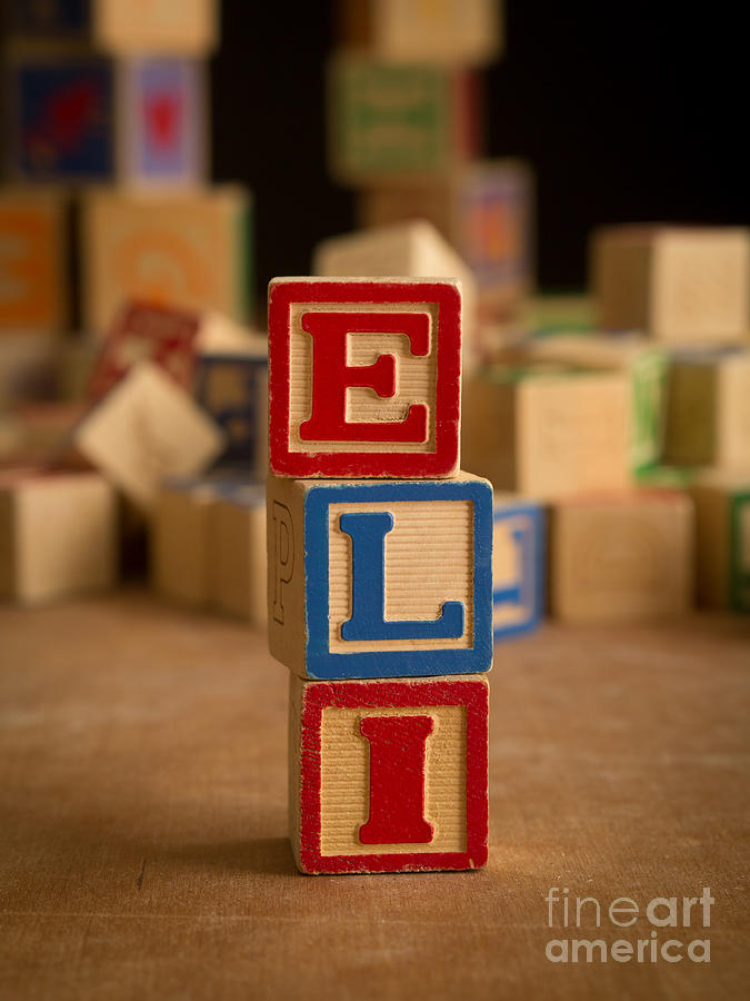 ELI - Alphabet Blocks Photograph by Edward Fielding
