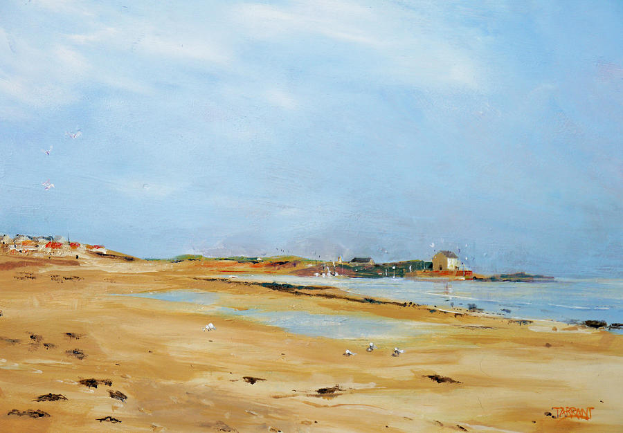 Seagull Painting - Elie Beach by Peter Tarrant