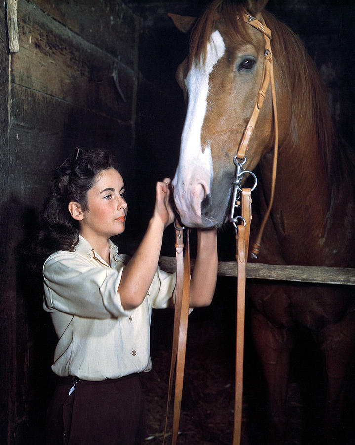 Elizabeth Taylor in National Velvet  Photograph by Silver Screen
