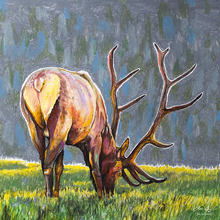 Elk Painting by Aaron Spong