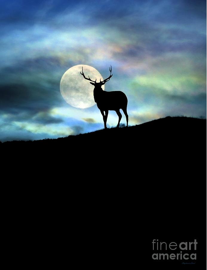 Elk and Moon Photograph by Stephanie Laird