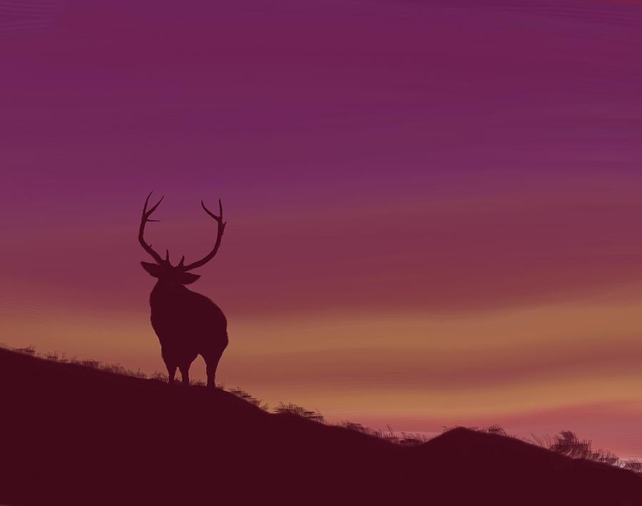 Elk at Dusk Digital Art by Terry Frederick