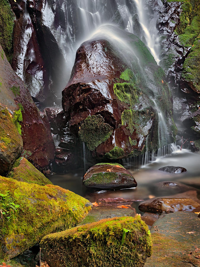 Elk Creek Falls Photograph by Leland D Howard