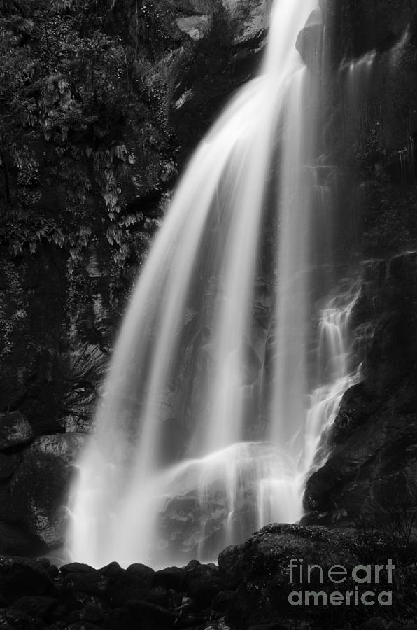Waterfall Photograph - Elk Creek Falls Oregon 2 by Bob Christopher