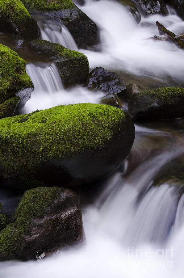 Elk Creek Oregon 4 Photograph by Bob Christopher - Fine Art America