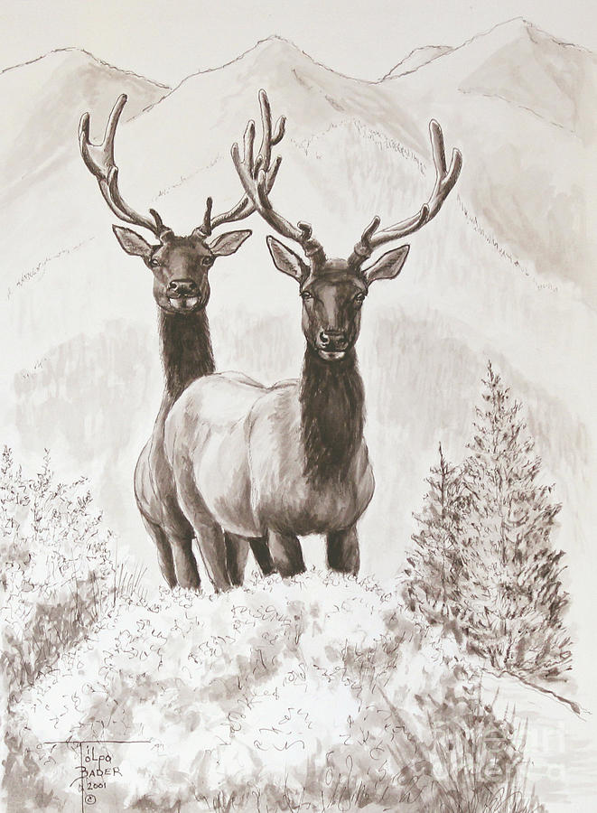 Mountain Painting - Elk Encounter by Art By - Ti   Tolpo Bader