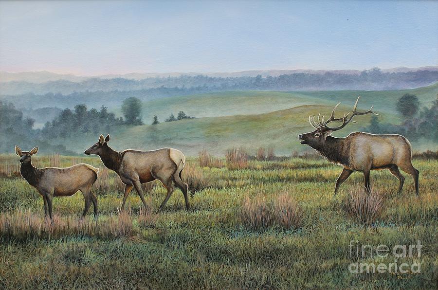 Elk in the Midwest Painting by Phillip Powell - Fine Art America