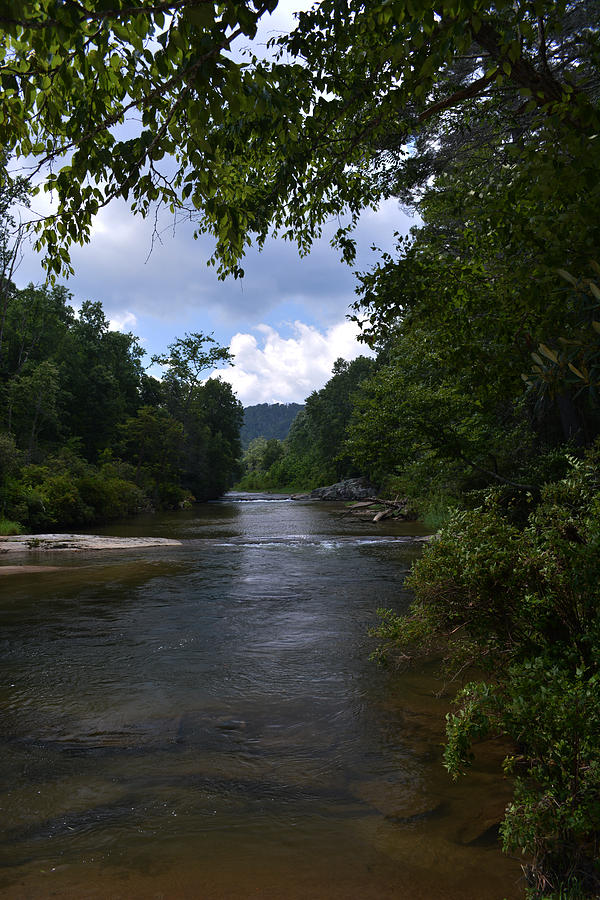 Elk River TN Photograph by Jack Davis Fine Art America