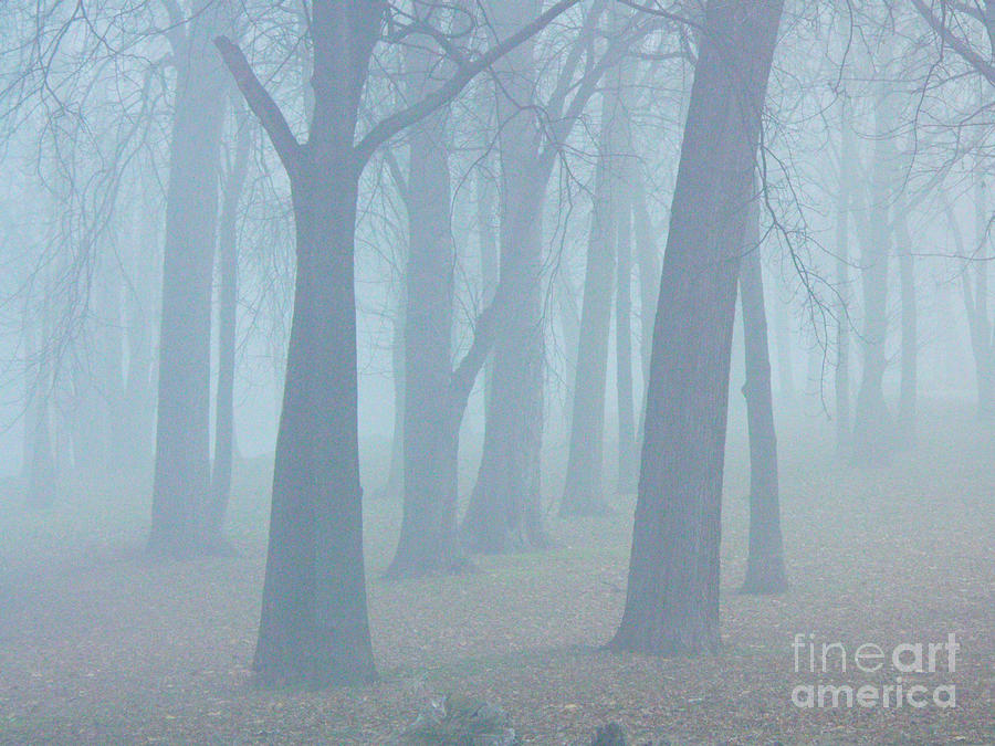Landscape Photograph - Elkhart Fog by Gary Richards