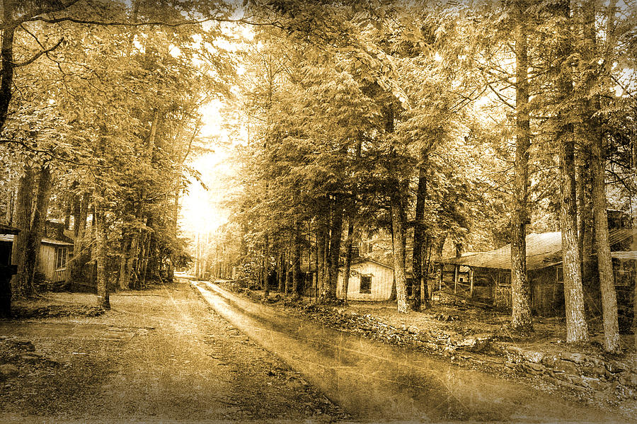 Elkmont Ghost Town Photograph by Michael Eingle