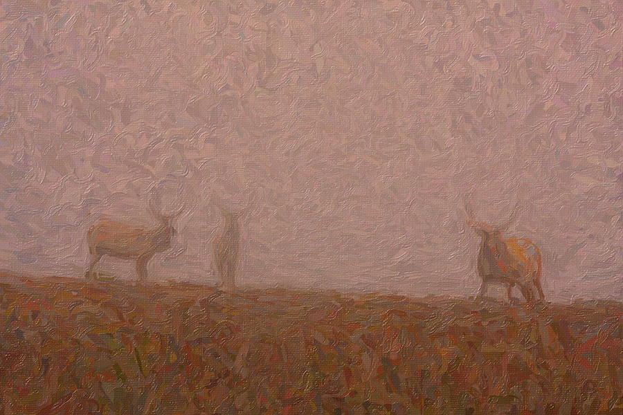 Nature Painting - Elks in the fog by Celestial Images