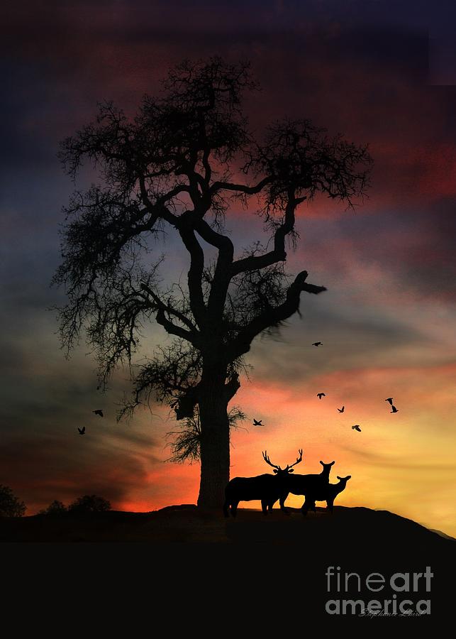 Elks in the sunset Photograph by Stephanie Laird