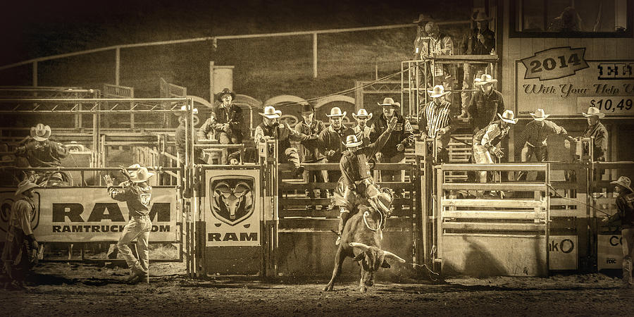 Vintage Photograph - Elks Rodeo - 2014 by Caitlyn  Grasso