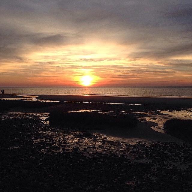 Ellis Landing, Brewster Photograph by Amy Coomber Eberhardt Fine Art