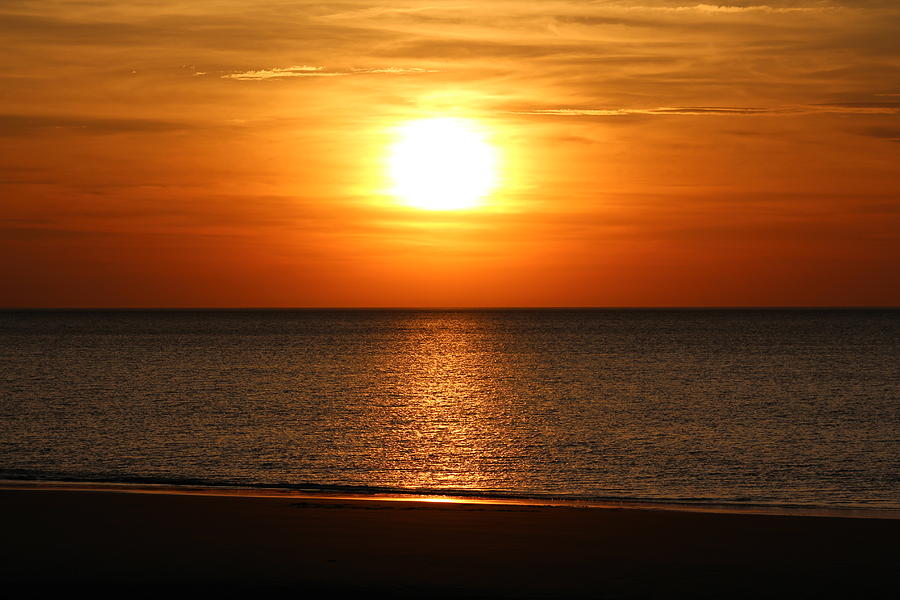 Ellis Landing Brewster MA Photograph by Amy Coomber Eberhardt Fine