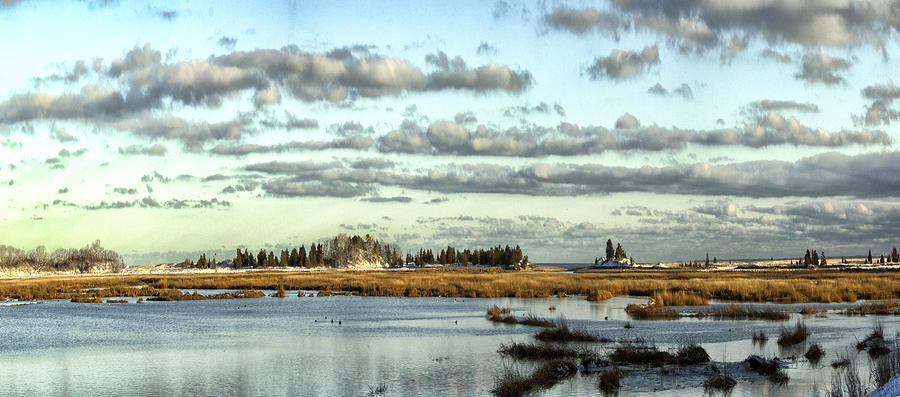Ellisville Marsh In Winter Photograph by Constantine Gregory