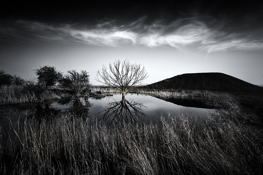 Black And White Photograph - Elmley Marshes by Ian Hufton