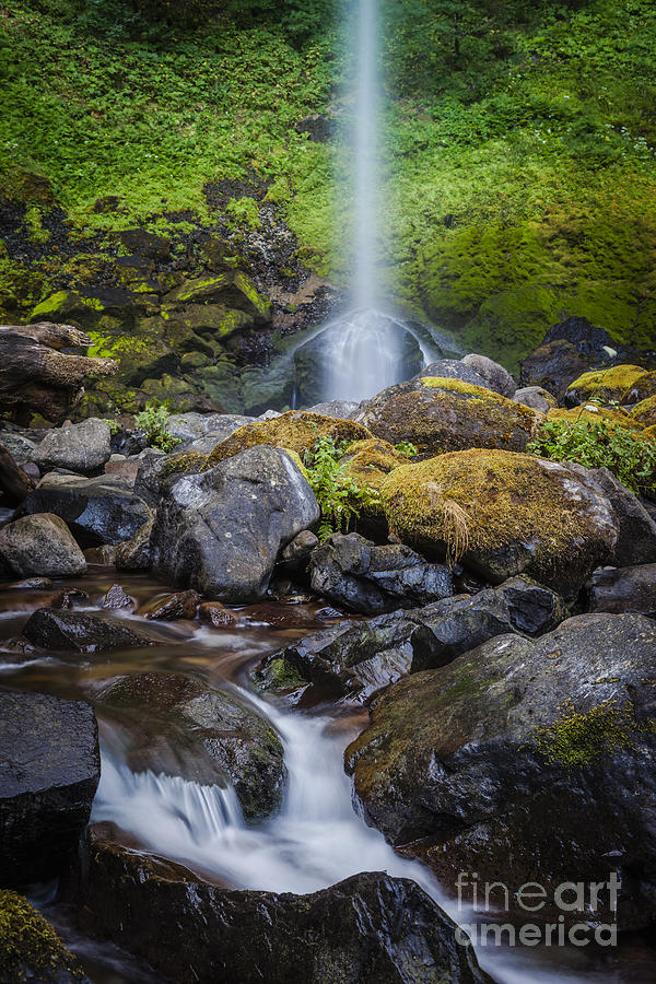 Waterfall Photograph - Elowah Falls by Brian Jannsen