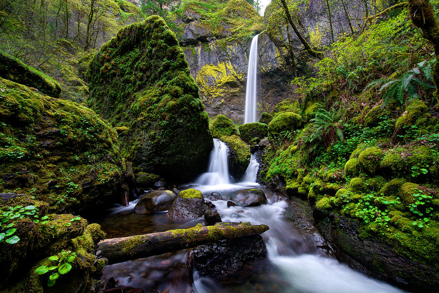 Portland Photograph - Elowah Falls by Dustin LeFevre