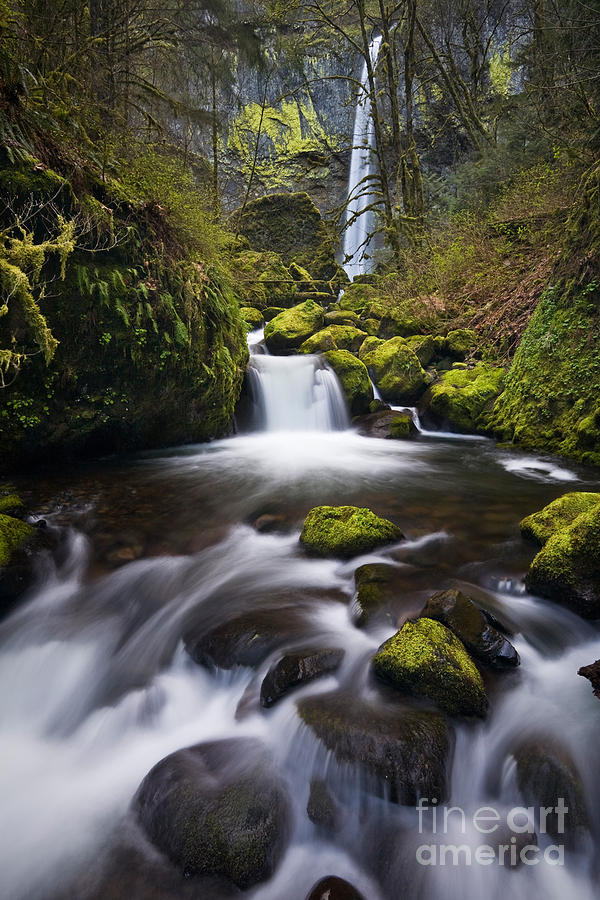 Elowah Falls in Oregon Photograph by Sean Bagshaw