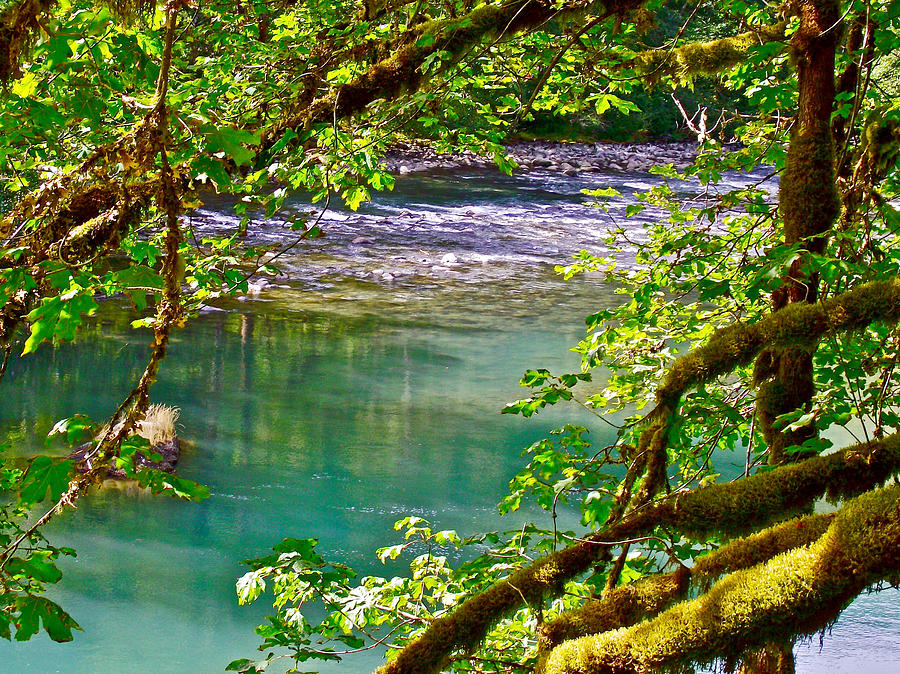 Elwha River in Olympic National Park-Washington Photograph by Ruth Hager