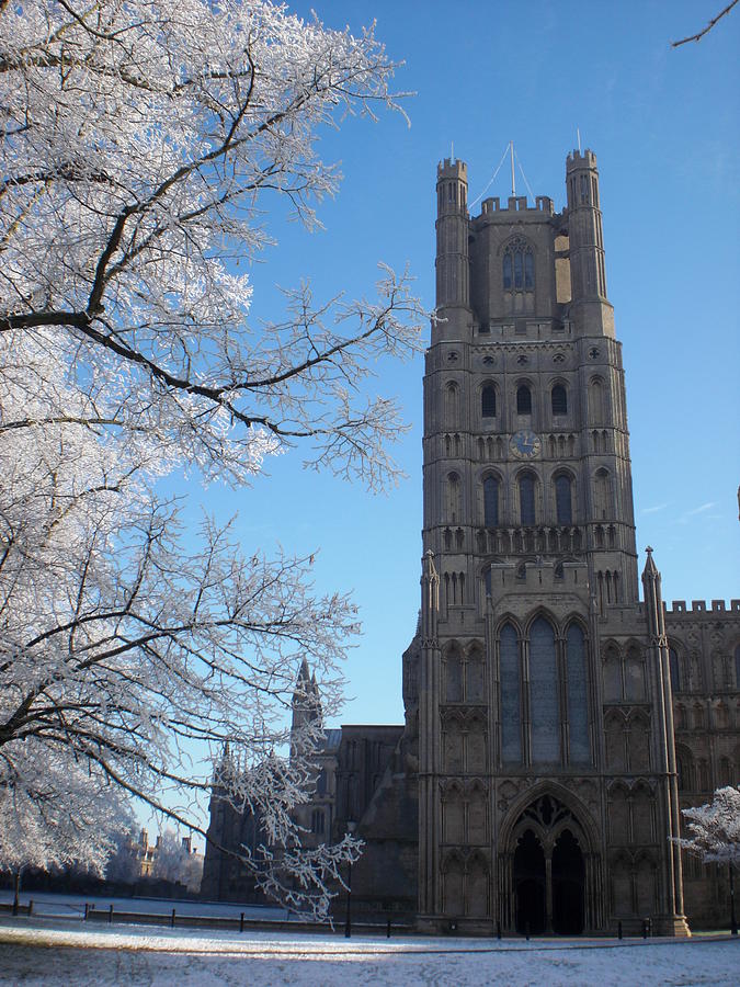 Winter Photograph - Ely Cathedral by Julie Robinson