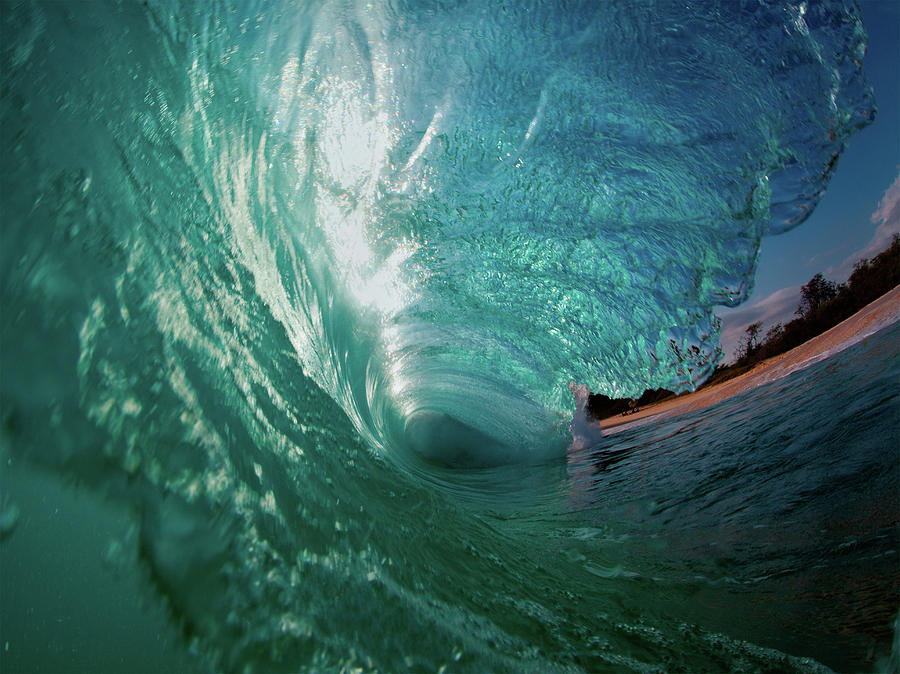 Emerald Curl Photograph by M Swiet Productions