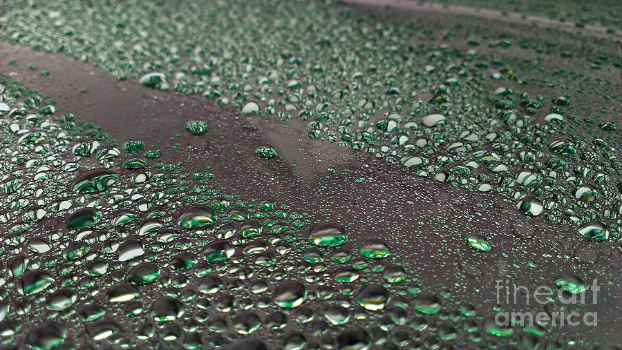 Emerald drops Photograph by Claudia M Photography