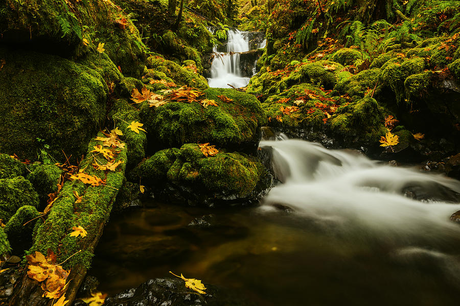 Emerald Falls in Columbia River Gorge Oregon USA Photograph by Vishwanath Bhat