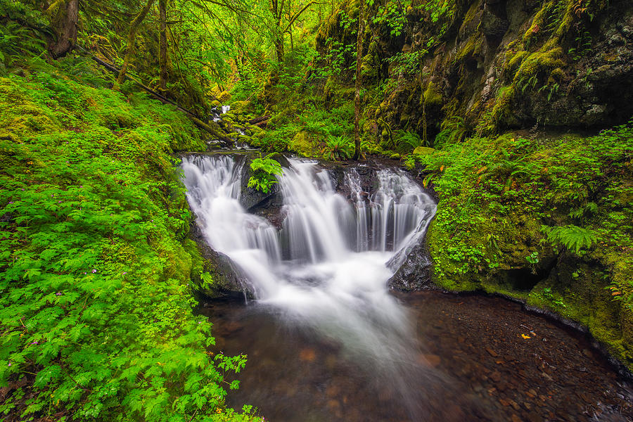 Emerald Falls Photograph by Joseph Rossbach