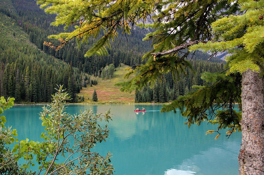 Mountain Photograph - Emerald Lake British Columbia by Lynn Bolt