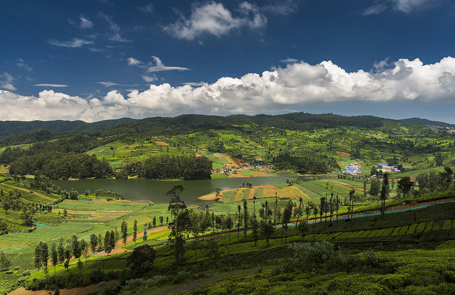 Emerald Lake in Ooty Photograph by MQ Naufal | Fine Art America