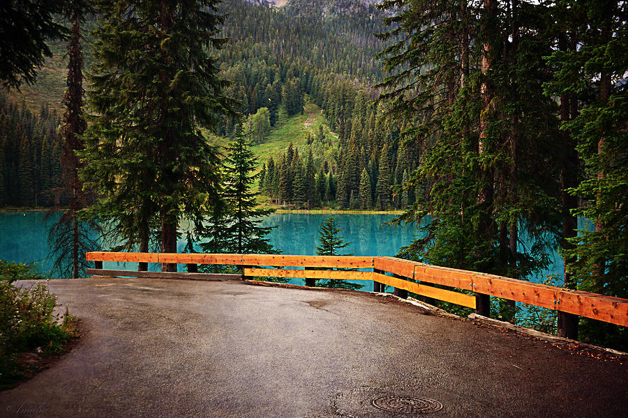Emerald Lake Photograph by Maria Angelica Maira