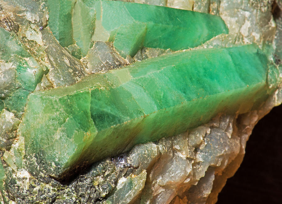 Emerald Photograph by Millard H. Sharp
