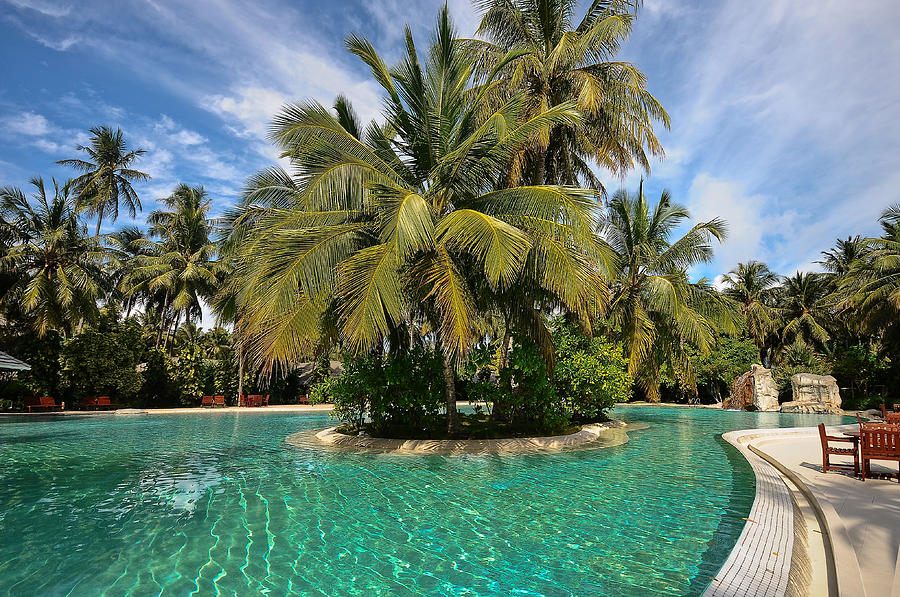 Emerald Paradise. Sun Island Resort. Maldives Photograph by Jenny Rainbow