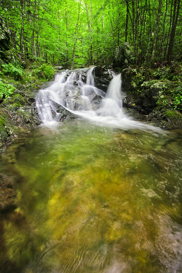 Emerald Pool Falls Photograph by Robert Clifford