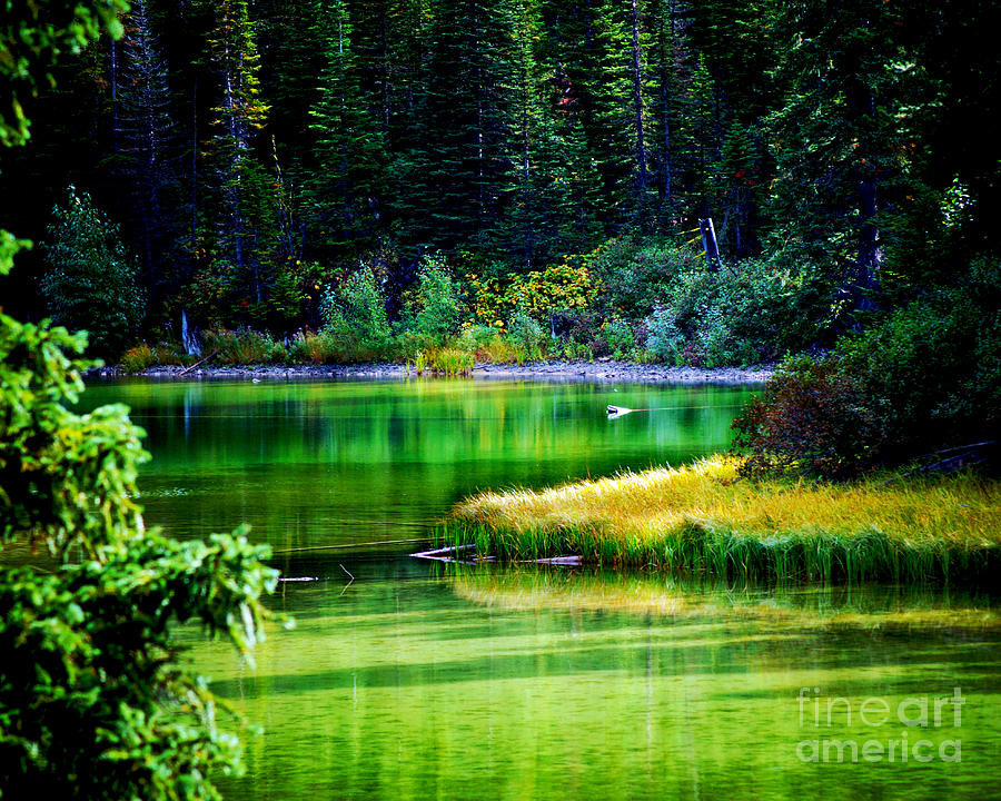 Emerald Water Photograph by Anita Braconnier