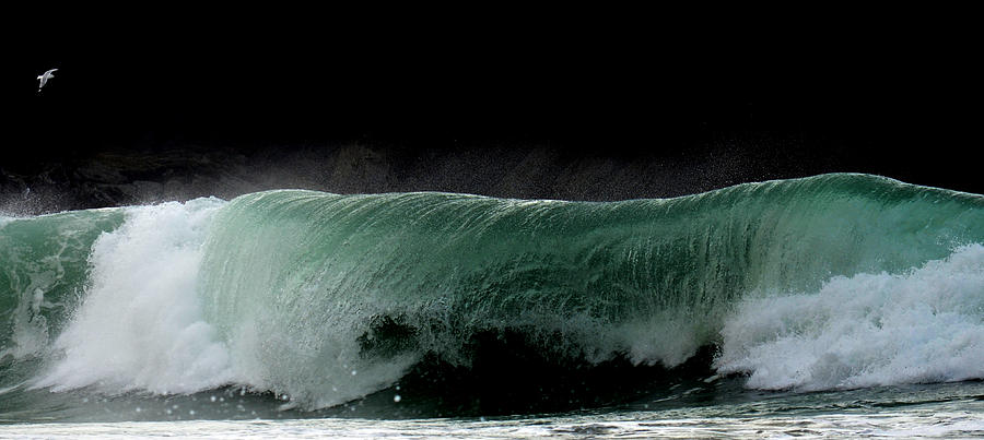 Nature Photograph - Emerald wave by Barbara Walsh
