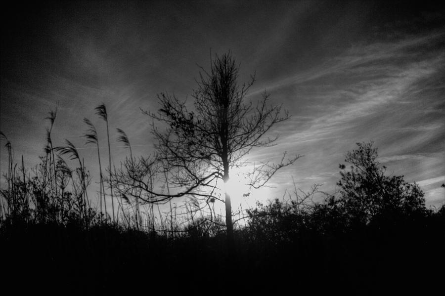 Sunset Photograph - Emergence by Pete Federico Sunset Photograph - Emergence by Pete Federico